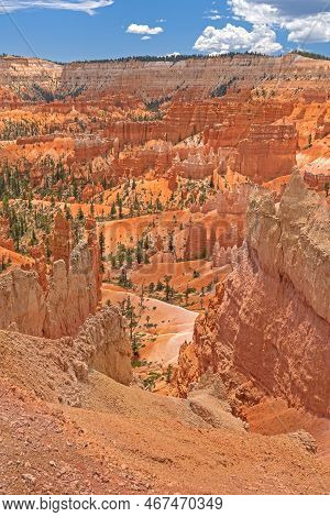 Peering Into The Canyon Depths In Bryce Canyon National Prk In Utah