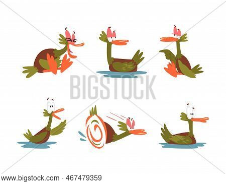 Funny Green Dabbling Duck Character As Feathered Waterfowl Bird Vector Set