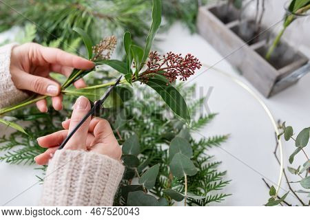 The Process Of Making A Christmas Wreath From Needles, Thuja, Shimia, Rosehip, Pine Twigs, Chopped T