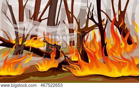 Forest Fire Flame Composition Destructive Fire That Destroys Trees And Entire Forests Vector Illustr