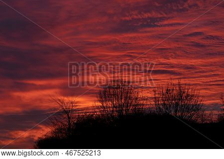 Cloudy Sky Colored Crimson By The Setting Sun. Spectacular Sunset. Leafless Autumn Trees Against A B