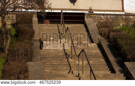 Cat On The Old Concrete Stairs. Old Urban Buildings , Autumn . A Cat Walking Up The Stairs.