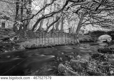 Robbers Bridge In Exmoor National Park
