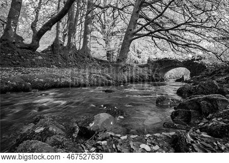 Robbers Bridge In Exmoor National Park