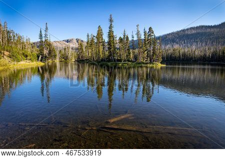 Reflections On Sylvan Lake In Yellowstone National Park