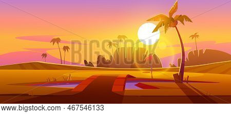 Golf Course With Pond With Bridge And Palm Trees At Sunset. Vector Cartoon Tropical Landscape Of Spo