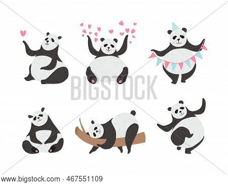Panda Bear With Black-and-white Coat And Rotund Body Vector Set