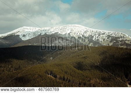 Velyka Syvulya Mountain With Wood Landscape Photo. Beautiful Nature Scenery Photography With Cloudy 