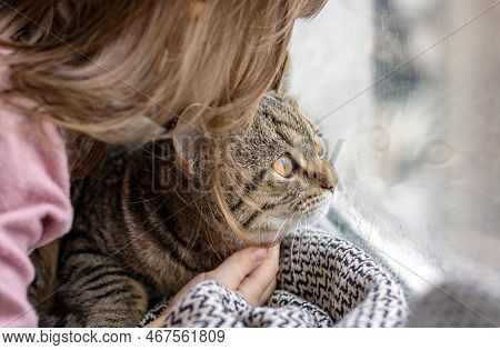 Little Girl Hugging Tabby Cat Kitty On Window Sill.pussycat Reflection In Window Glass Like Mirror.a