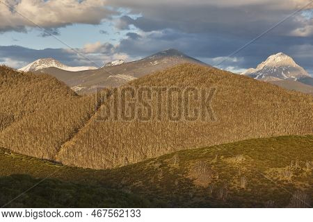 Snowy Mountain Landscape And Forest In Winter. Castilla Leon. Spain