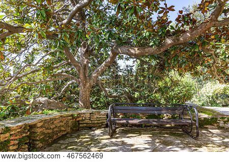 Garden With Landscaping And Stone Flower Beds.