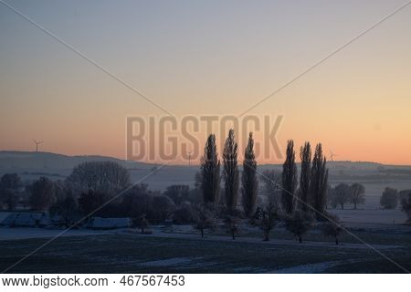 Colorful Winter Sunset Behind Tall Cypress Trees With Snow On The Ground