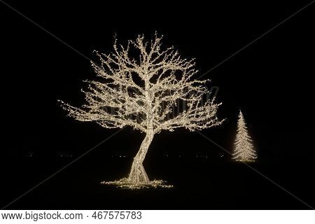 A Tree As An Illuminated Decoration Made Of Fairy Lights At The Light Installation Lumagica In The E