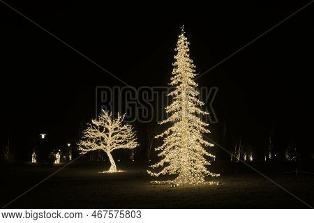 A Tree As An Illuminated Decoration Made Of Fairy Lights At The Light Installation Lumagica In The E