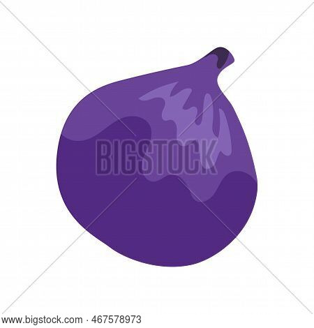 Purple Onion With Vitamin C Vector Illustration. Cartoon Drawing Of Enriched Organic Antioxidant, Pu