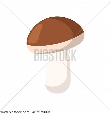 Mushroom Enriched With Vitamin D Vector Illustration. Source Of Vitamin D, Mushroom Isolated On Whit