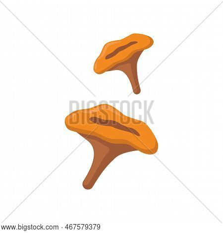 Mushrooms Or Chanterelles Enriched With Vitamin D Vector Illustration. Source Of Vitamin D, Mushroom