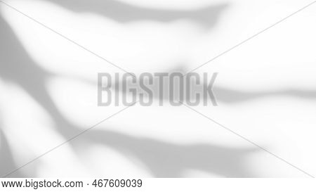 Abtract Overlay Shadow Leaves On Grey Cement Background,texture Surface Design Vintage Styles Backdr
