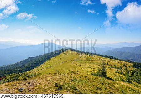 Green Nature Environment Of Trascarpathia. Beautiful Scenery In Mountains Of Chornohora Ridge In Sum