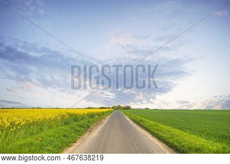 Summer Landscape With A Road Going Through The Rural Countryside With A Yellow Canola Field
