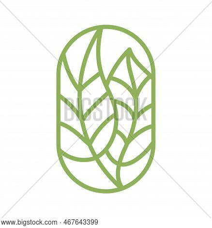 Vector Tea Green Leaves. Lines For Farm Product Label Eco Logo Organic Plant Design. Round Bauer Emb