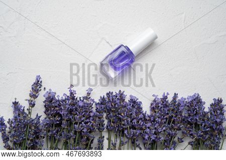 Glass Bottle Of Lavender Essential Oil With Lavender Flowers And Dried Lavender Seeds On White Concr