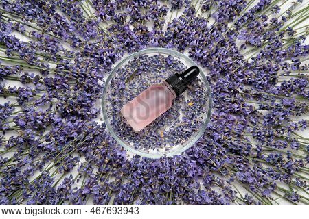 Glass Bottle Of Lavender Essential Oil, Dried Lavender Flowers And Seeds On White Concrete Backgroun