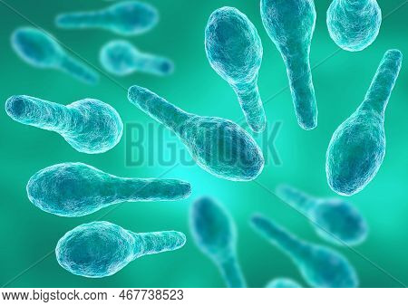 Bacteria Clostridium Tetani Under Magnified Microscope, Causing The Disease Tetanus. 3d Illustration