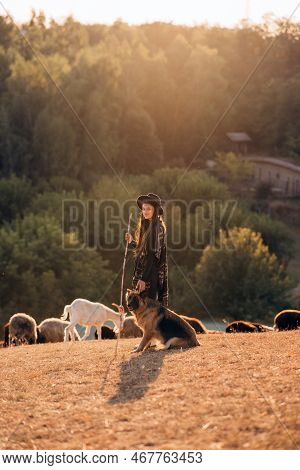 Female Shepherd With A Dog Grazes A Flock On The Lawn