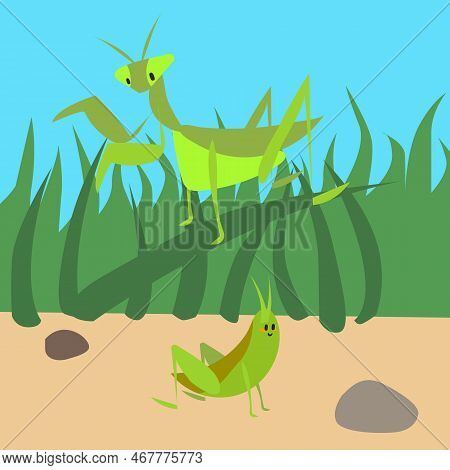 Cute Bugs. Green Praying Mantis And Grasshopper. Beetles In Grass. Cartoon Insect Characters. Little