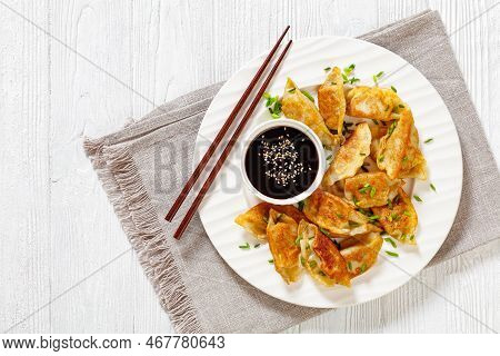 Fried Gyoza, Wonton Wrappers Stuffed With Pork And Cabbage Sprinkled With Green Onions On White Plat