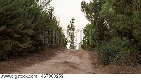 Road Through The Forest Leading To The Cave Church - Lavra Netofa Monastery, Near The Hararit Villag