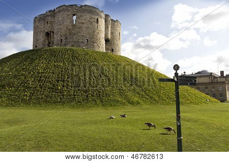 York hrad