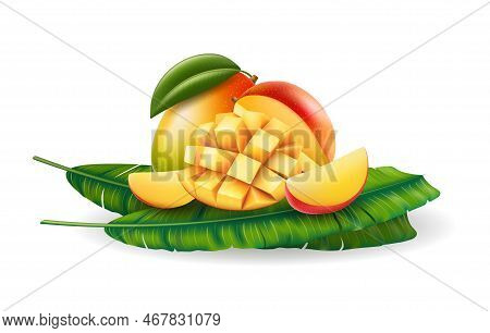 Realistic Mango Fruits On Tropical Palm Leaves. Appetizing Cutting Pieces Mangoes With Yellow Pulp D