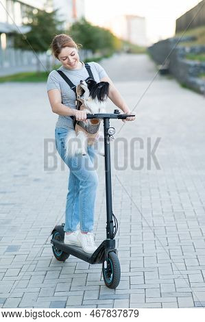 A Woman Rides An Electric Scooter With A Dog In A Backpack. Pappilion Spaniel Continental In A Sling