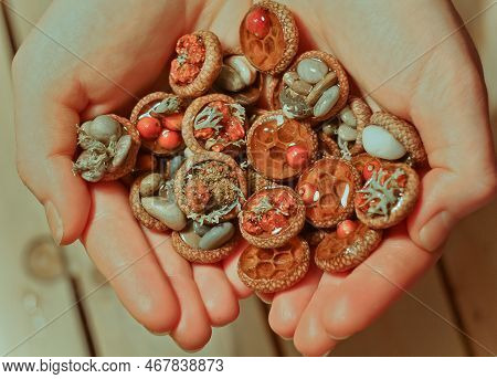 Close Up Woman Showing Souvenirs Made Of Acorn Caps Concept Photo. Top View Person Photography With 