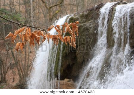 Herfst Branch op Waterwall achtergrond