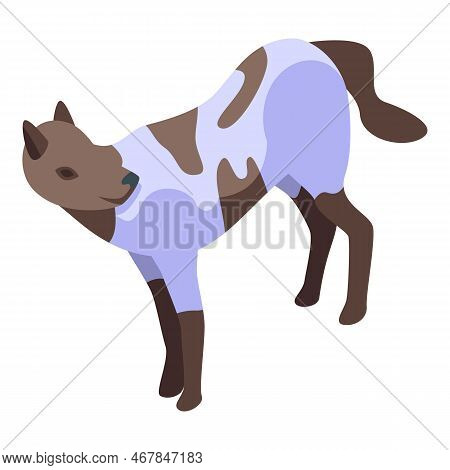 Wild Dog Animal Icon Isometric Vector. African Mammal. Wildlife Nature