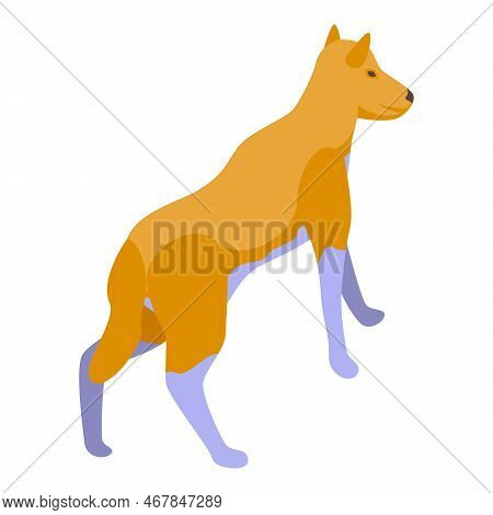 Safari Dog Icon Isometric Vector. Wild Animal. Africa Predator