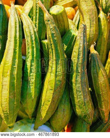 Luffa Ridge Gourd Chinese Okra Toree Sinkwavine Vegetable Food Turai Closeup Image Picture Stock Pho