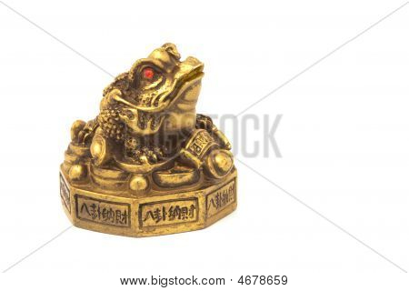 Rana d'oro con monete