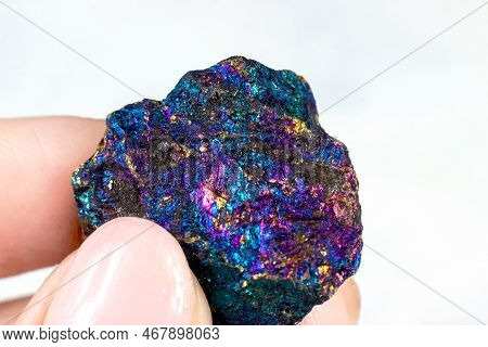 Woman Hand Holding Shiny Rainbow Crystal Peacock Ore Or Bornite (chalcopyrite) On Light Background C