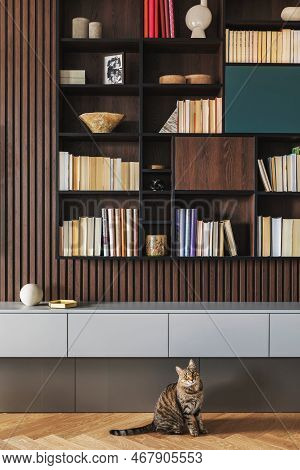 Modern Bookcase In Lamells Wall. Grey Chest Of Drawers. Bookcase A Lot Of Books And Accessories. Her