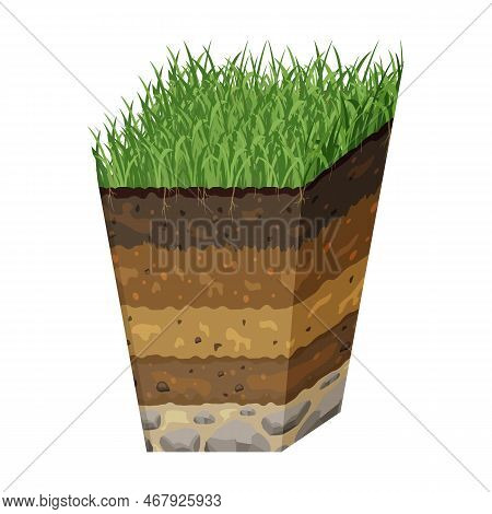 Soil In Section. Volumetric Image Of Structure Of Earth. Sector With Layers Of Black Soil And Grass.