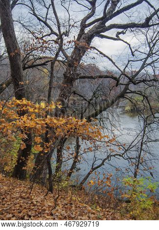 The Dupage River Flows Through A Valley It Created Eons Ago, Hammel Woods Forest Preserve, Will Coun