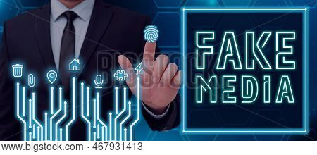 Text Caption Presenting Fake Media. Business Overview An Formation Held By Brodcasters Which We Cann