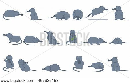 Desman Icons Set Cartoon Vector. Beast Animal. Fur Capybara