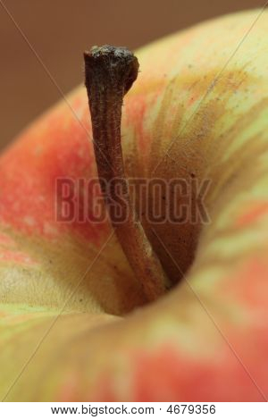 Macro de una manzana