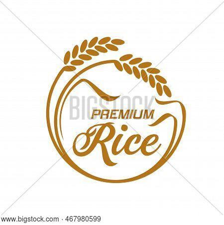 Rice Icon, Vector Emblem With Round Frame Of Cereal Stalks And Premium Rice Typography. Paddy Rise O