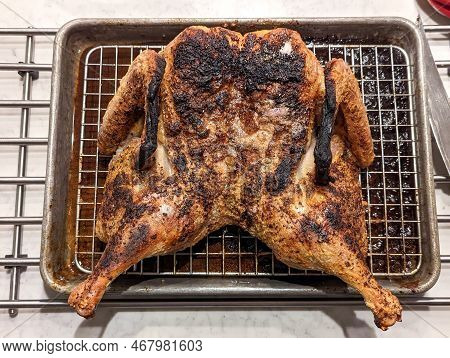 Spatchcocked Tduck Prepared For Smoking For Thanksgiving Dinner